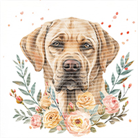 Animal Integration-DW 431